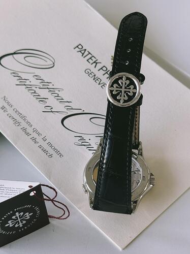Patek Philippe World Time 5110P Patek Philippe watch