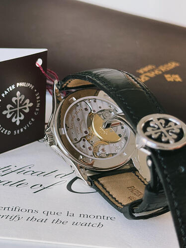 Patek Philippe World Time 5110P Patek Philippe watch