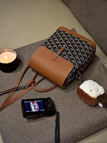 Goyard Alpin Mini Backpack cheap designer bag