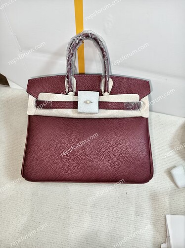 HERMES BIRKIN BAG 25-1