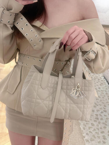 Dior Toujours M2821 23×19×13cm cheap designer bag