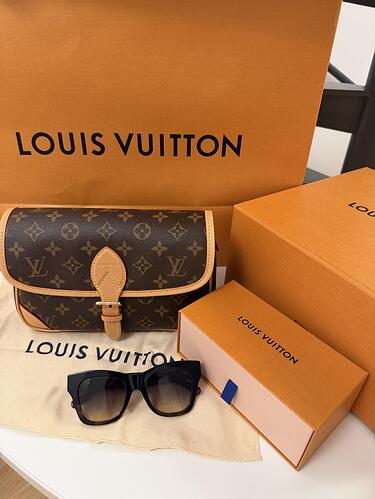 Louis Vuitton Diane M45985 23.9 × 15 × 8.9 cm cheap designer bag