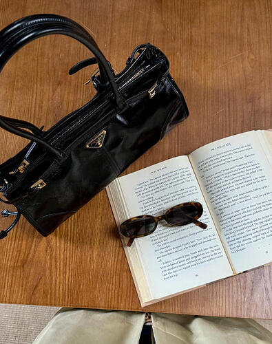 prada-bag-2026-route-bonnie-handbag-trend4