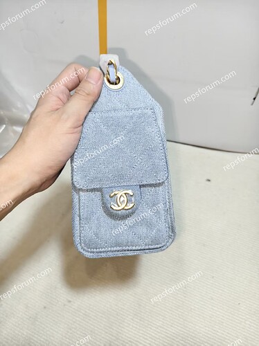 CHANEL 25 Hobo Bag-4