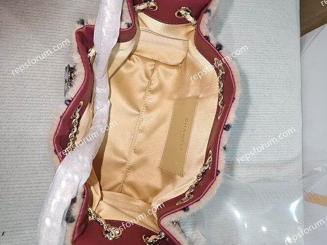 CHANEL 25 Mini Handbag-5