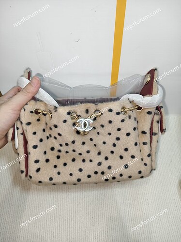 CHANEL 25 Mini Handbag-1