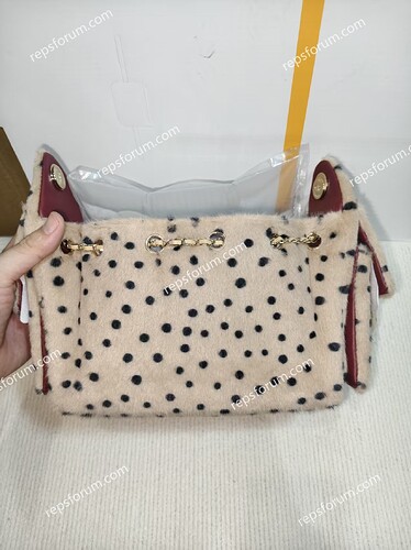 CHANEL 25 Mini Handbag-2