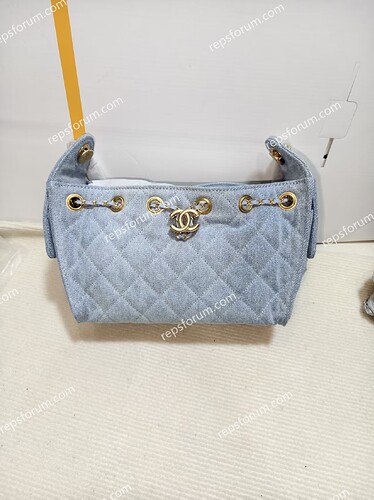 CHANEL 25 Hobo Bag-1.