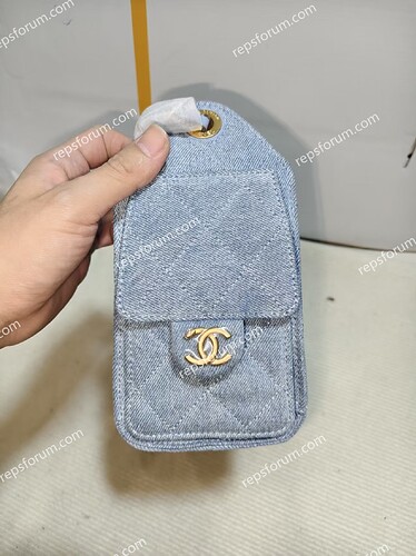 CHANEL 25 Hobo Bag-3