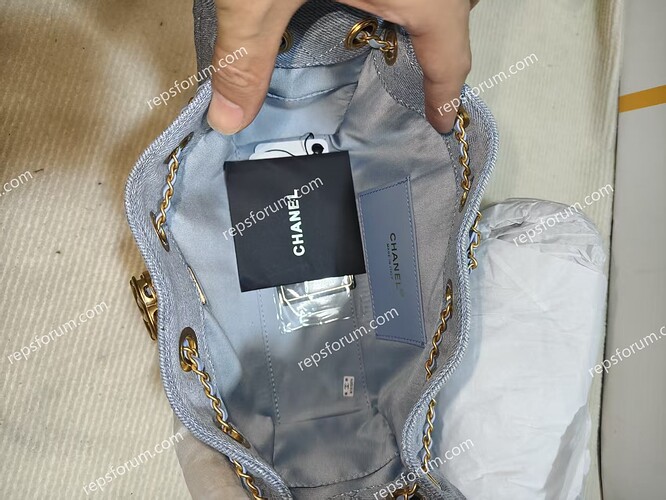 CHANEL 25 Hobo Bag-6