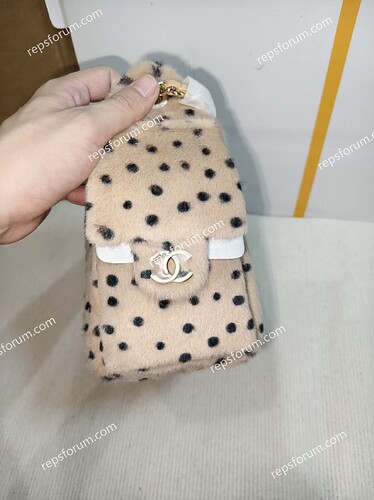 CHANEL 25 Mini Handbag-3
