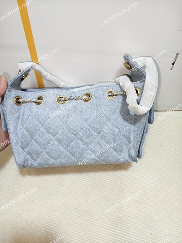CHANEL 25 Hobo Bag-2