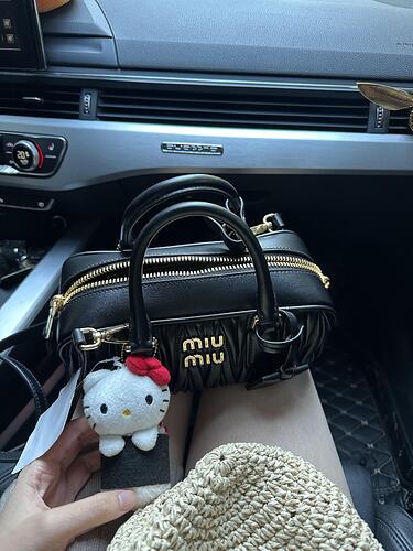 Miu Miu rcadie Matelassé 19×13×7cm  cheap designer bag