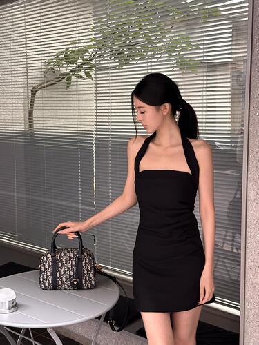 DIOR D Vibe Medium Oblique 25×16×9 cheap designer bag